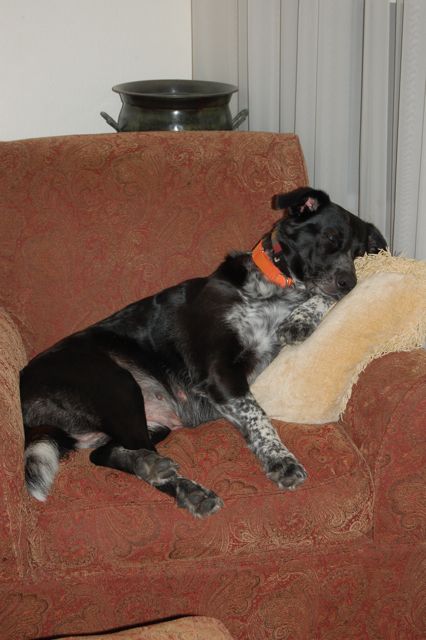 Mimi Upon Her Throne