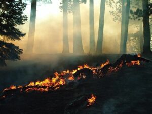 West Kern Fire